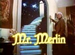 Mr. Merlin - image 1