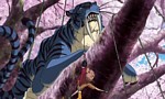 One Piece - Film 10 : Strong World - image 8