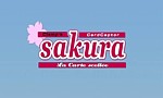 Sakura, Chasseuse de Cartes - Film 2 : La Carte Scellée