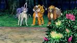 Pokémon : Film 13 - Zoroark, le Maître des Illusions - image 14