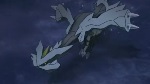 Pokémon : Film 15 - Kyurem VS la Lame de la Justice - image 9