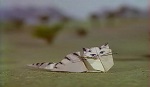 Pierre et le Loup <i>(origami)</i> - image 6