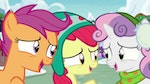 My Little Pony : TV Spécial - Best Gift Ever - image 6